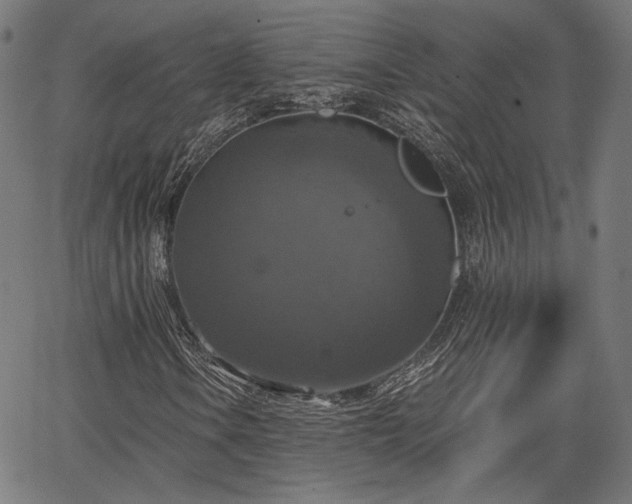 X0000067391106200604031025