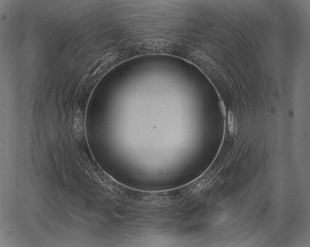 X0000067391107200604031025