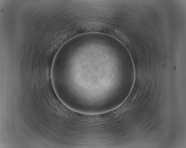 X0000067391108200604031025