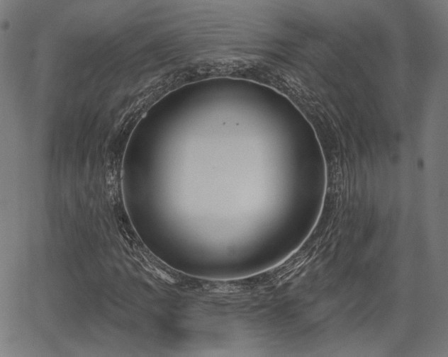 X0000067391109200604031025