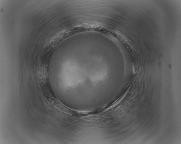 X0000067391110200604031026