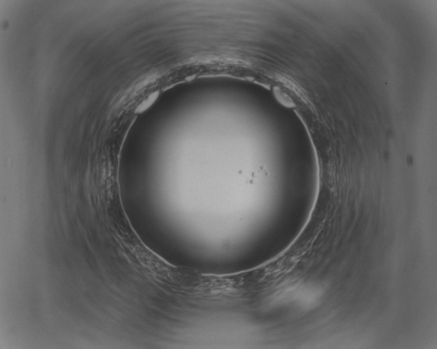 X0000067391111200604031026