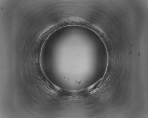 X0000067391112200604031026