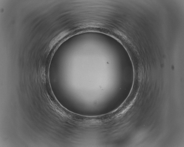 X0000067391113200604031026