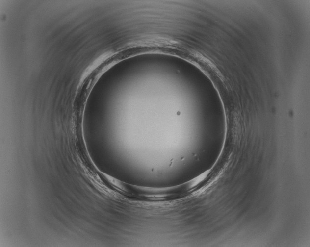 X0000067391114200604031026