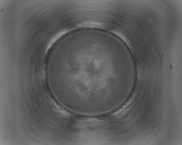 X0000067391115200604031026