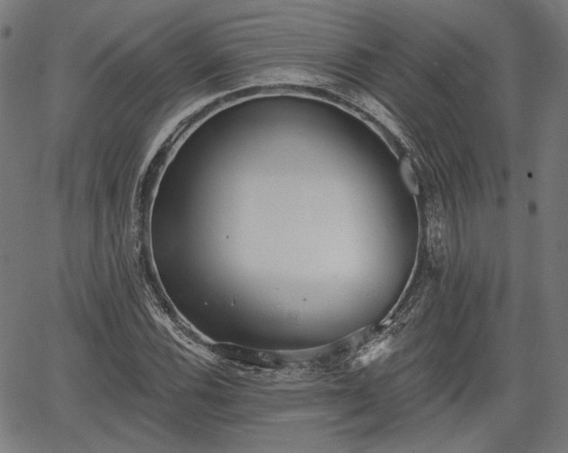 X0000067391116200604031026