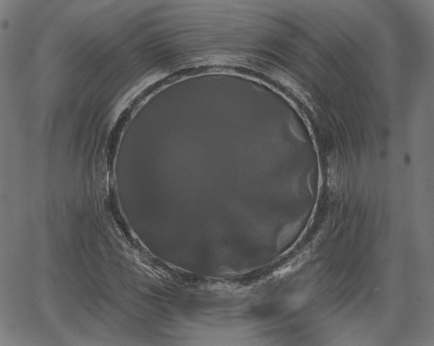 X0000067391117200604031026