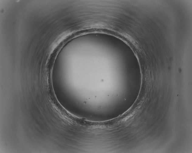 X0000067391118200604031026