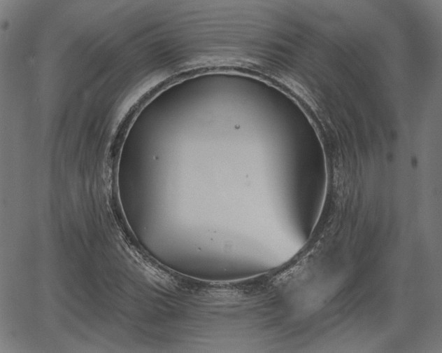 X0000067391119200604031026