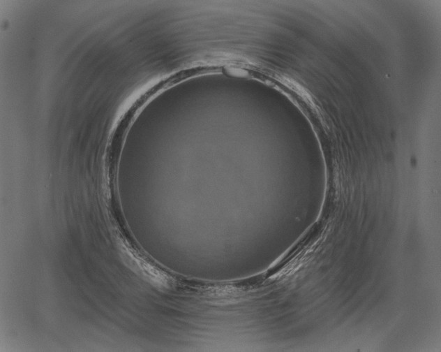 X0000067391120200604031026