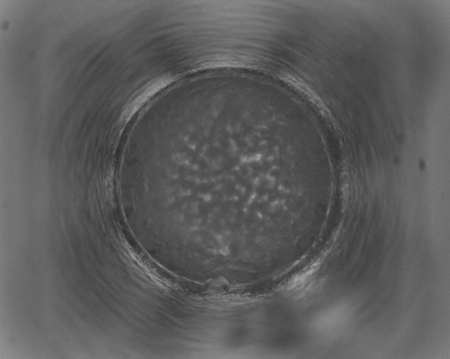 X0000067391121200604031026