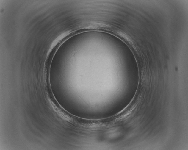 X0000067391122200604031026