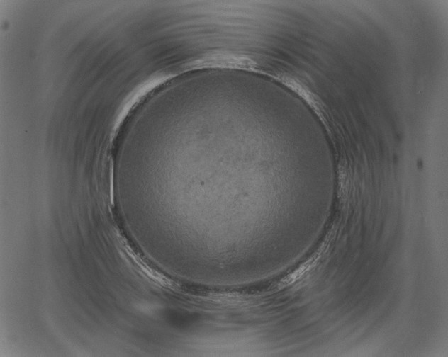 X0000067391123200604031026