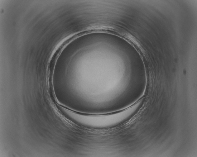 X0000067391124200604031026