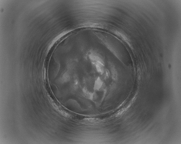 X0000067391125200604031026