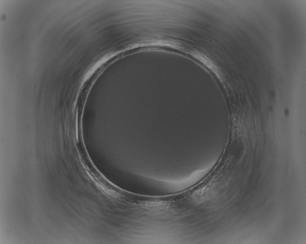 X0000067391127200604031026