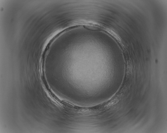 X0000067391128200604031026