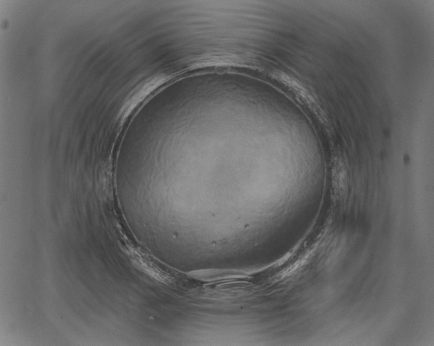 X0000067391129200604031026