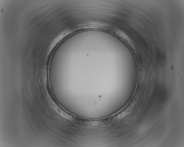 X0000067391130200604031026