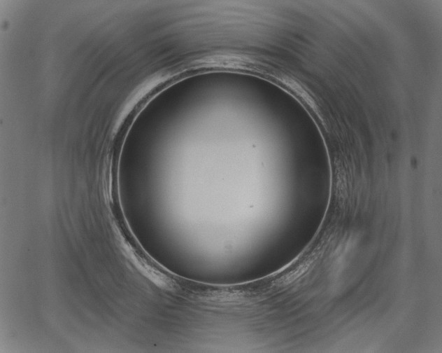 X0000067391131200604031026