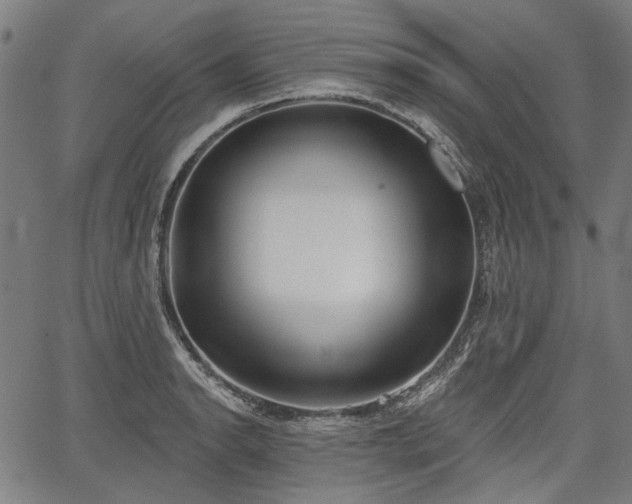 X0000067391134200604031026