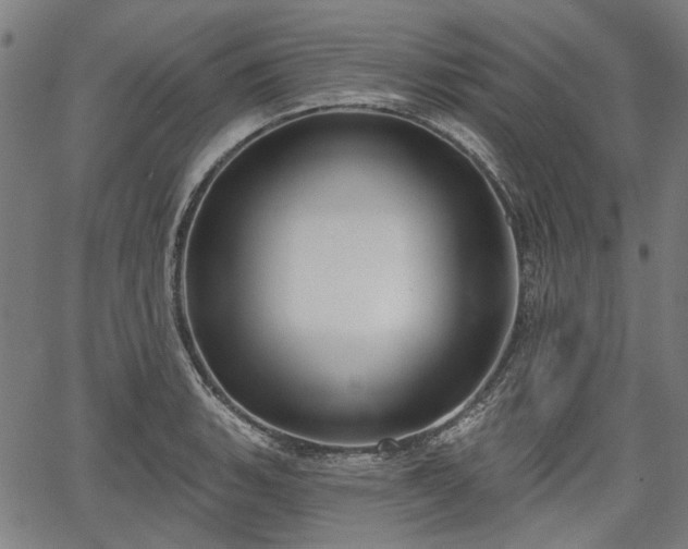 X0000067391135200604031026