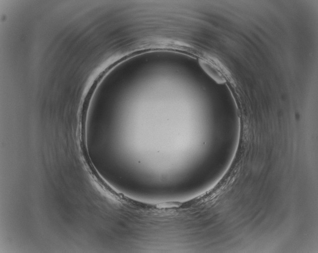 X0000067391136200604031026