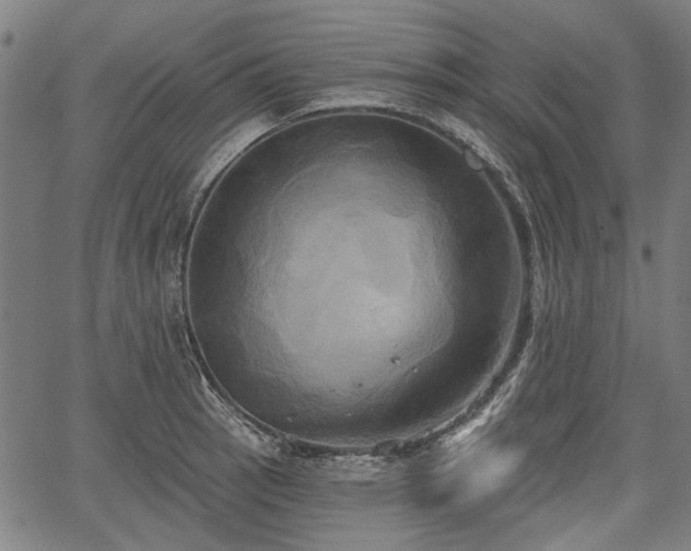 X0000067391137200604031026