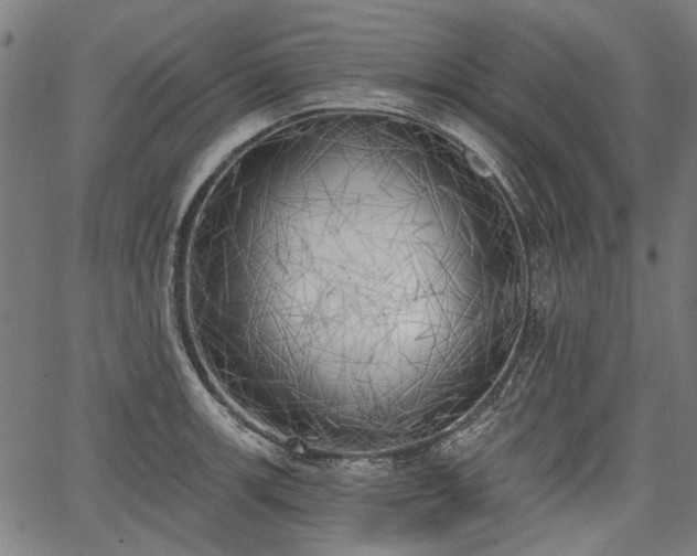 X0000067391139200604031026