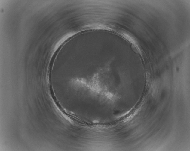 X0000067391141200604031026