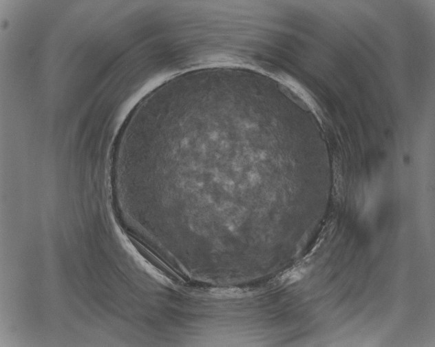 X0000067391142200604031026