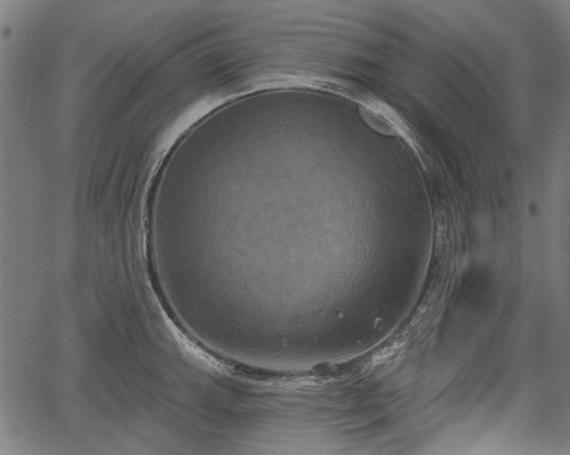 X0000067391143200604031026