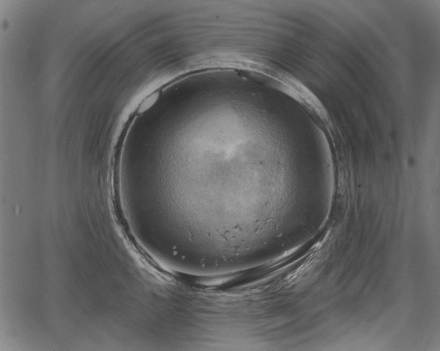 X0000067391144200604031026