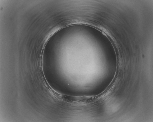 X0000067391145200604031026