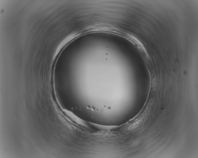 X0000067391146200604031026