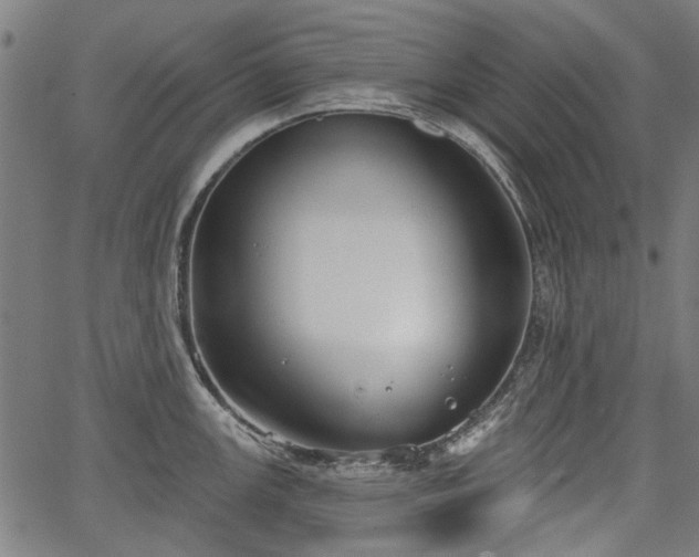 X0000067391147200604031026