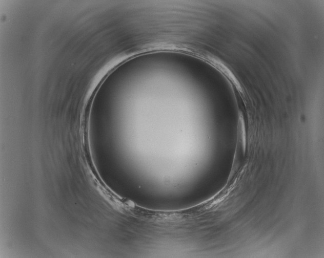 X0000067391148200604031026