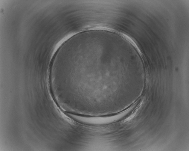 X0000067391149200604031026