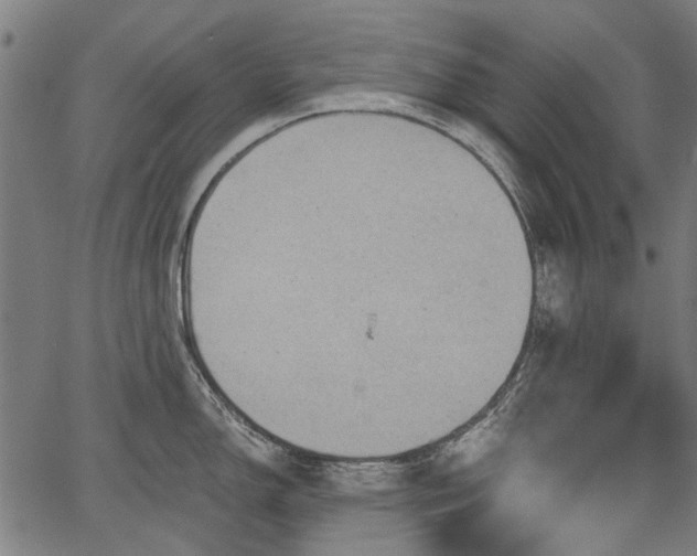 X0000067391150200604031026