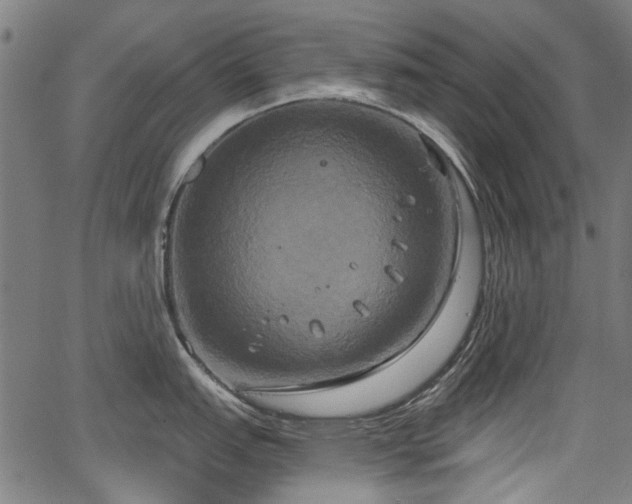 X0000067391151200604031026