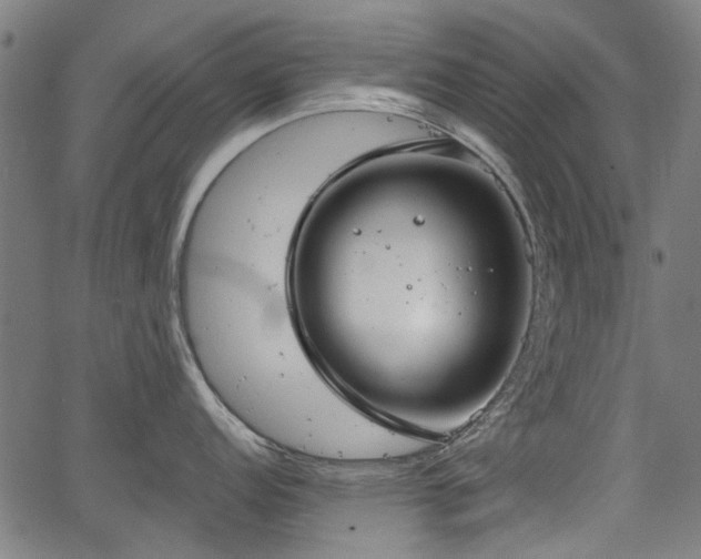 X0000067391152200604031026