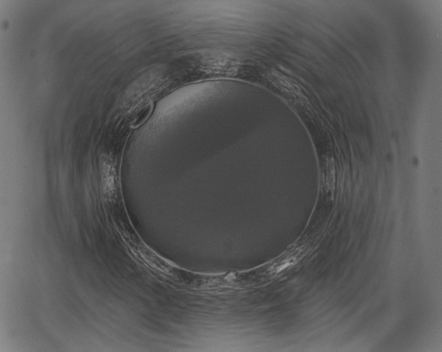 X0000067391154200604031025