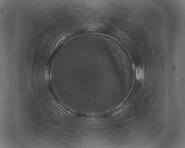 X0000067391155200604031025