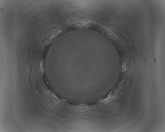 X0000067391156200604031025