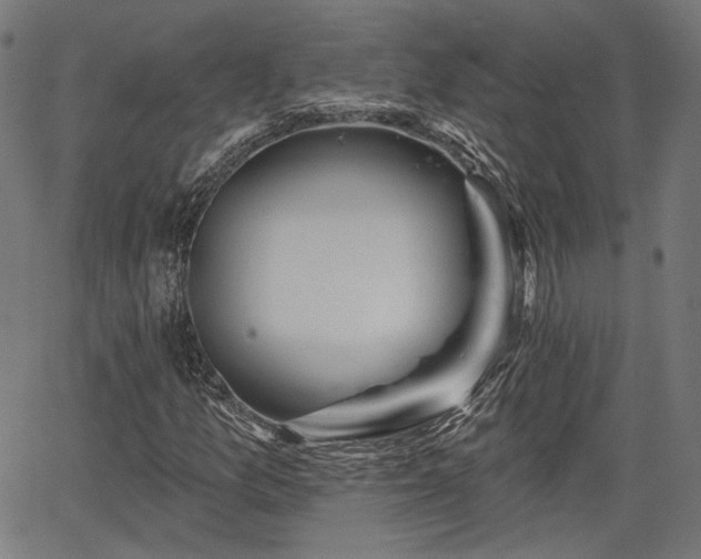 X0000067391157200604031025