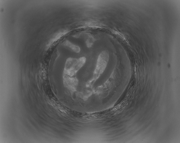 X0000067391159200604031025