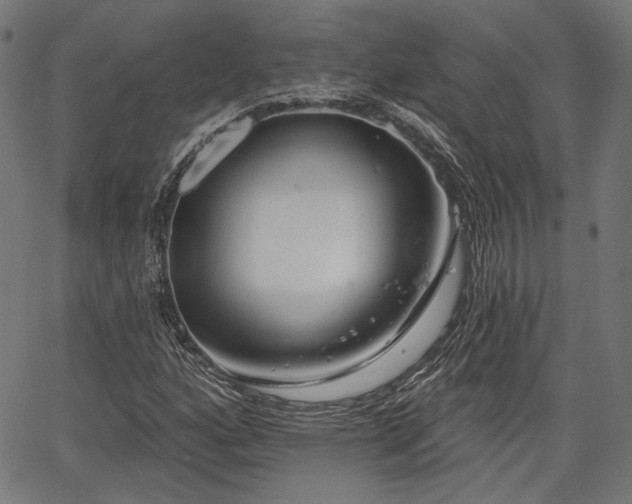 X0000067391160200604031025