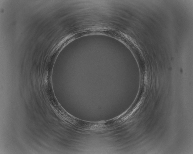 X0000067391161200604031025