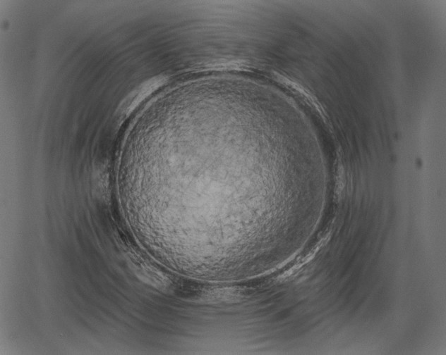 X0000067391162200604031025